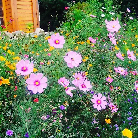 Chez. Nicole Et Pierrot Bed & Breakfast